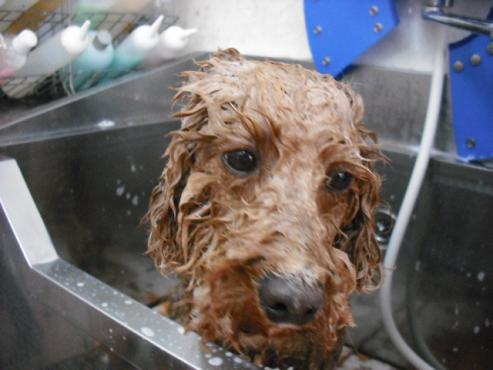 ファイル 792-2.jpg