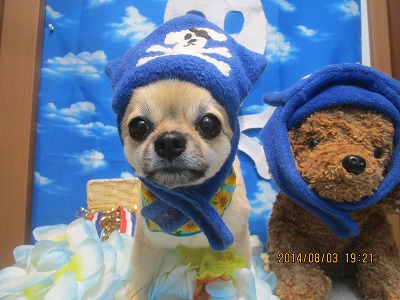 ファイル 7920-1.jpg