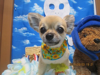 ファイル 7920-2.jpg