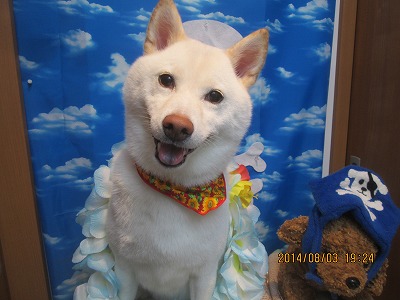 ファイル 7921-2.jpg