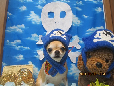 ファイル 7922-1.jpg