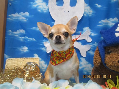 ファイル 7922-2.jpg