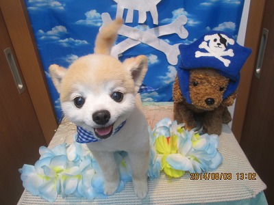 ファイル 7923-2.jpg