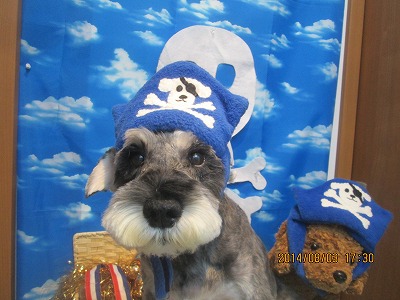 ファイル 7924-1.jpg