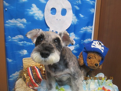 ファイル 7924-2.jpg