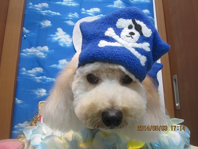 ファイル 7925-2.jpg