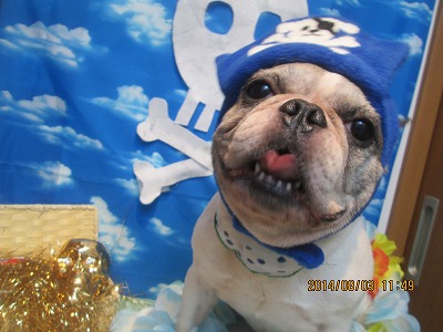 ファイル 7926-1.jpg