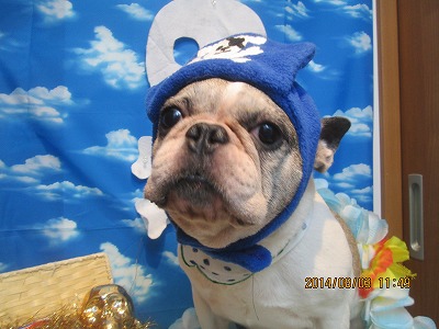 ファイル 7926-2.jpg