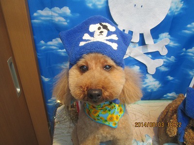 ファイル 7927-1.jpg