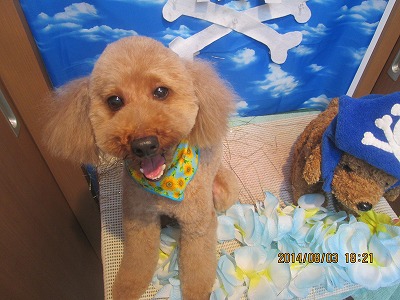 ファイル 7927-2.jpg