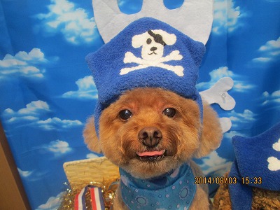 ファイル 7928-1.jpg