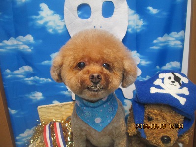 ファイル 7928-2.jpg