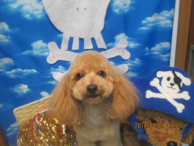 ファイル 7929-2.jpg