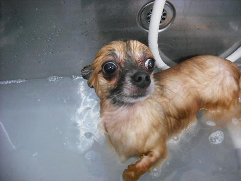 ファイル 793-2.jpg