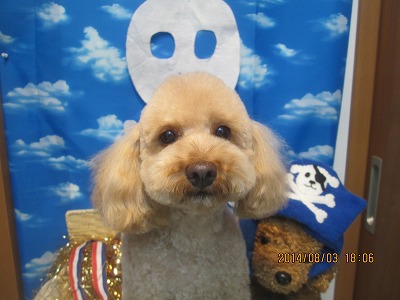 ファイル 7930-1.jpg