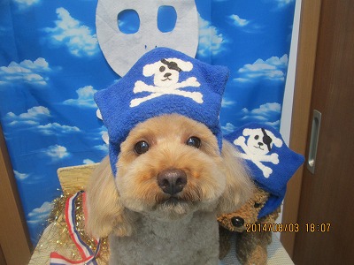 ファイル 7930-2.jpg