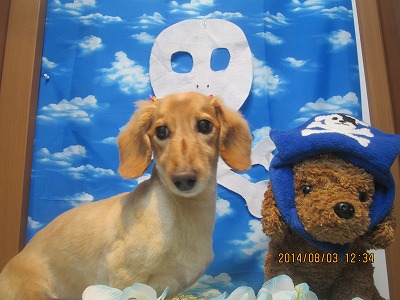 ファイル 7931-1.jpg