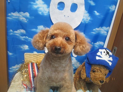 ファイル 7932-1.jpg