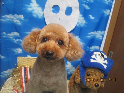 ファイル 7932-2.jpg