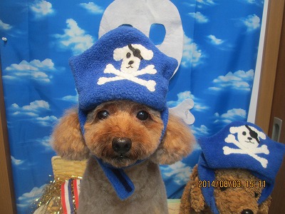 ファイル 7932-3.jpg