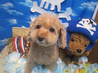 ファイル 7933-2.jpg