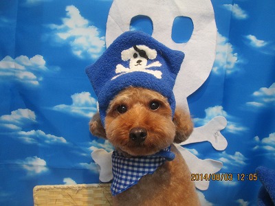 ファイル 7934-1.jpg