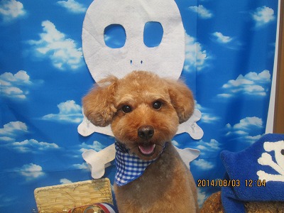 ファイル 7934-2.jpg