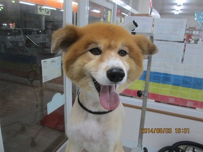 ファイル 7935-2.jpg