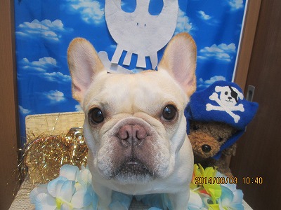 ファイル 7936-1.jpg