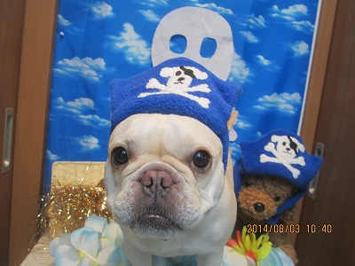 ファイル 7936-2.jpg