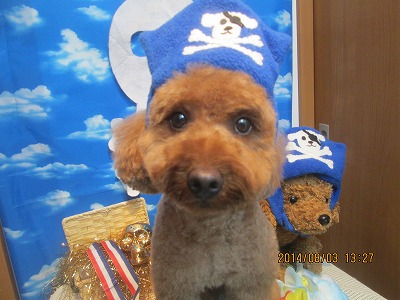 ファイル 7937-1.jpg