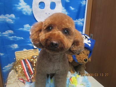 ファイル 7937-2.jpg