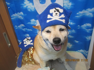 ファイル 7938-1.jpg