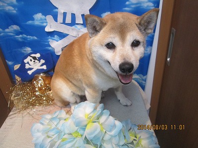 ファイル 7938-2.jpg