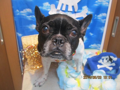 ファイル 7939-1.jpg