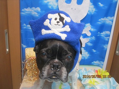 ファイル 7939-2.jpg