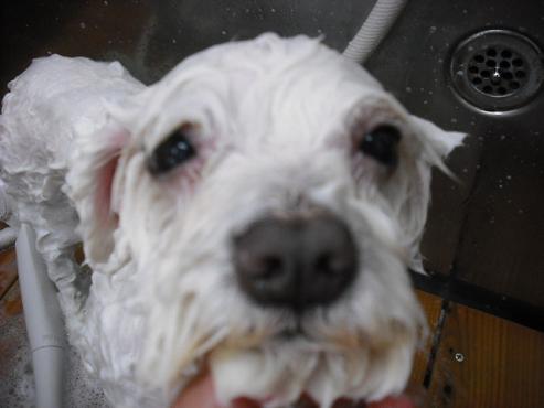 ファイル 794-2.jpg