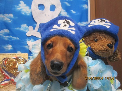 ファイル 7940-1.jpg