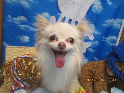 ファイル 7941-2.jpg