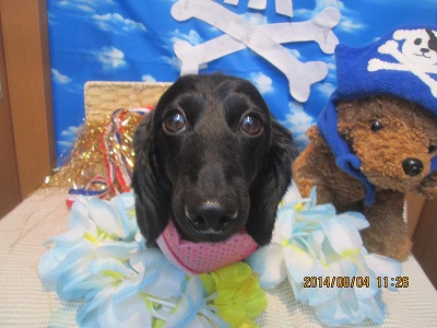 ファイル 7943-2.jpg