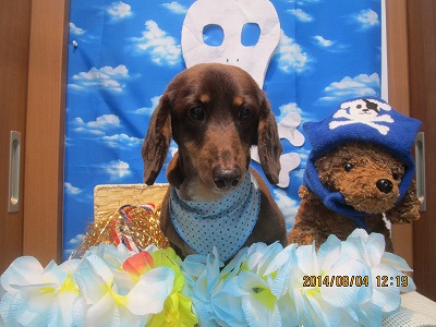 ファイル 7944-2.jpg