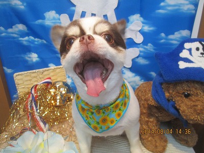 ファイル 7945-2.jpg