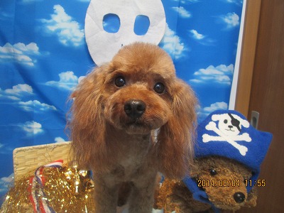 ファイル 7946-2.jpg