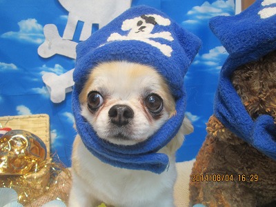 ファイル 7947-1.jpg