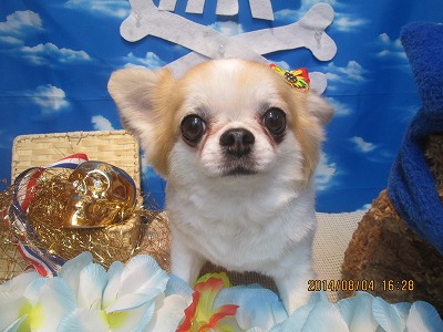 ファイル 7947-2.jpg