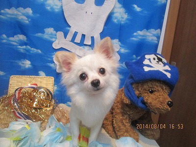 ファイル 7948-2.jpg