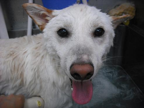 ファイル 795-2.jpg