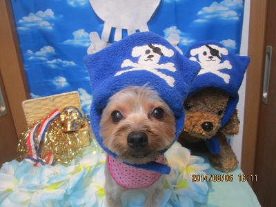 ファイル 7950-2.jpg