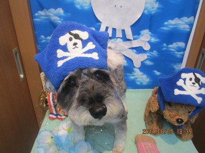 ファイル 7951-1.jpg