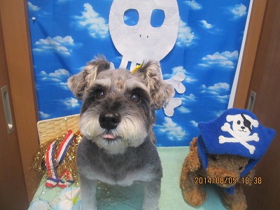 ファイル 7951-2.jpg